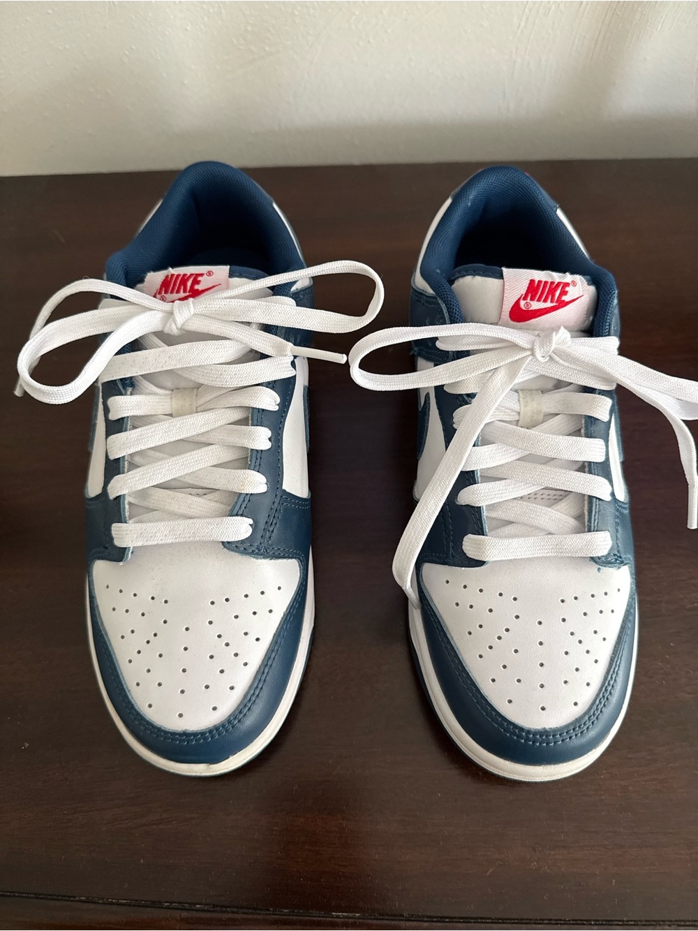 Nike Dunk Low Retro Valerian Blue